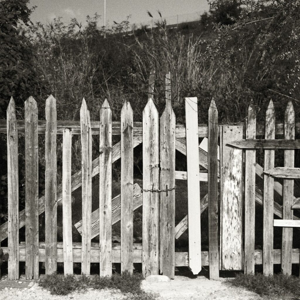 Portail et clôture en bois